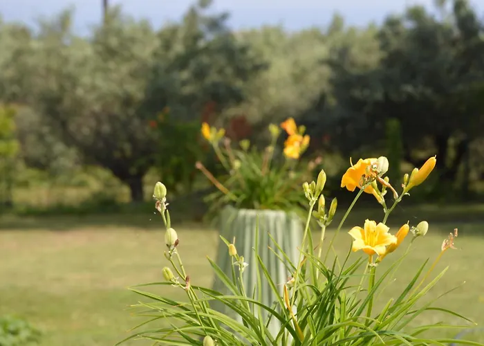 Thea 1 Apartamento Platamonas