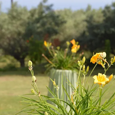 Thea 1 شقة بلاتامونيس