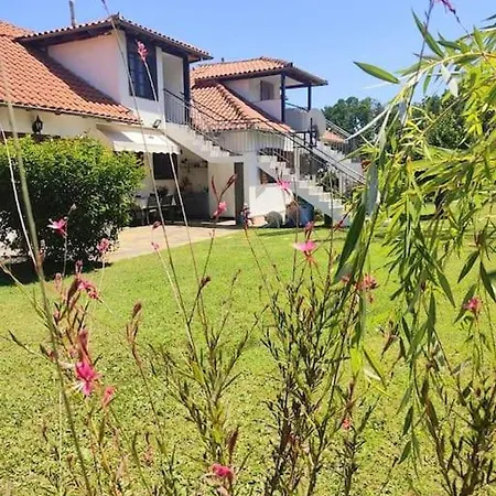 Thea 1 Apartment Platamonas